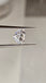 GIA 1.00 CT Heart Diamond, F, SI1 (-67)