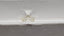 1.20 CT HRD Oval Cut Natural Diamond L SI2