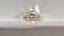 1.01 CT IGI Cushion Shaped Natural Diamond N SI1