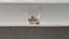 1.51 CT GIA Old Mine Brilliant Natural Diamond Light Brown SI2