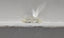 1.01 CT GIA Marquise Modified Brilliant Natural Diamond M IF