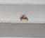 1.21 CT GIA Cushion Brilliant Natural Diamond Fancy Yellowish Brown VS2