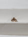 1.09 CT GIA Cushion Brilliant Natural Diamond Fancy Dark Yellowish Brown VVS2