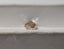 IGI 1.50 CT Natural Heart Modified Brilliant W-X VS2