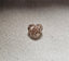 IGI 1.50 CT Natural Heart Modified Brilliant W-X VS2