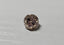 IGI 2.61 CT Natural Old Mine Cut Y-Z VS1 Light Brown