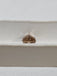 GIA 2.50 CT Natural Cushion Modified Brilliant Fancy Dark Yellowish Brown Even VS2