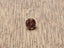 0.68 CT Natural Round Brilliant Cool-Brown I2