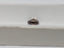 1.02 CT Natural Fancy-like Brown Imperfect Heart Cut