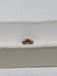 1.02 CT Natural Yellowish Brown Radiant Cut SI2