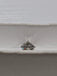 1.51 CT Natural Silverish-grey Round Brilliant Cut SI2