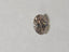 0.99 CT Natural Oval Fancy Light Brown SI1