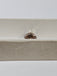 GIA 1.50 CT Natural Radiant Fancy Yellow-Brown SI1 EX/VG