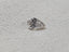 HRD 1.20 CT Natural Pear I I1 EX EX
