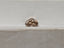 GIA 1.21 CT Natural Cushion Fancy Dark Yellowish Brown VS2 EX VG