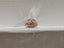 GIA 1.31 CT Natural Cushion Fancy Brown-Orange SI1