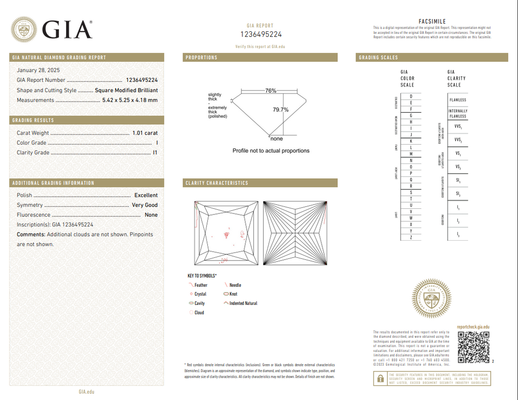 GIA 1.01 CT Natural Princess Cut I, I1