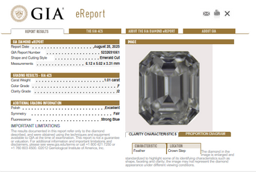 GIA 1.01 CT Natural Emerald Diamond, F, I2