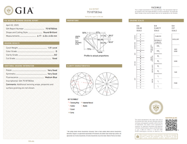 GIA 1.01 CT Natural RB D SI2