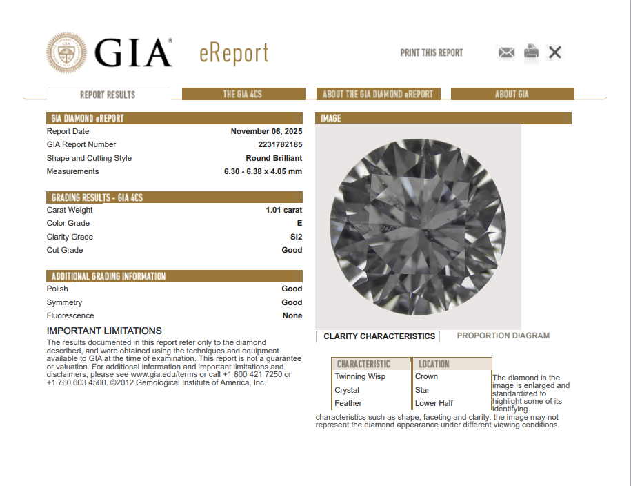 GIA 1.01 CT Natural Round Brilliant E SI2