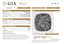 1.00 CT GIA Modified Leo Cushion Cut Natural Diamond G SI2