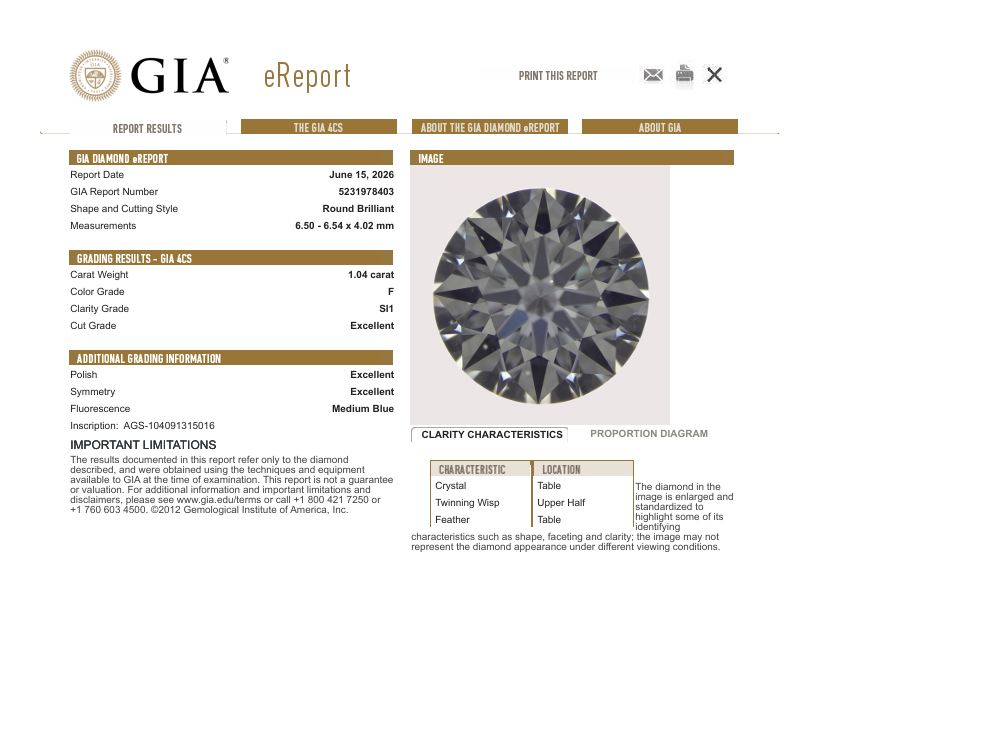 GIA 1.04 CT Natural Round Brilliant F SI1 XXX