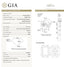 GIA 1.52 CT Natural Radiant Fancy Dark Yellowish Brown VVS2 EX/GD