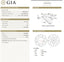 GIA 1.01 CT Natural Round G SI2