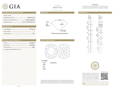 GIA 3.01 CT Natural Cushion L VS1 EX EX