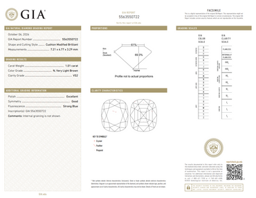 GIA 1.01 CT Natural Cushion Modified Brilliant N VS2