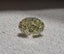 GIA 1.11 CT Natural Oval Brilliant WX VVS1 EX VG