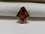 4.11 CT GIA Modified Kite Portrait Cut Natural Diamond Fancy Dark Orangy Brown I1