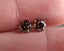 1.96 CTW Natural RB Match Fancy Dark Brown SI2-I1