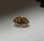 0.49 CT Marquise Cut Natural Diamond TLB VS
