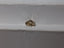 0.97 CT Natural Radiant Cut Dark Fancy-Like Yellow I1