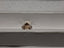 GIA 2.00 CT Natural Round Brilliant YZ Light Brown SI1 EX EX VG