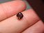 1.01 CT Natural Red-Ivory Brown Cushion Cut Imperfect