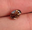 1.68 CT Natural Oval Cut Dark Orangish-brown SI2