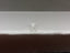 0.51 CT Oval Cut Natural Diamond I-J I1