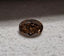 GIA 0.73 CT Natural Oval MB Fancy Yellow-Brown VS2 EX VG