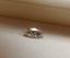 GIA 1.01 CT Marquise Loose Diamond, G, I2