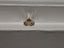 GIA 1.61 CT Natural Round Cut WX Light Brown VS2 XXX