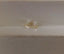 0.41 CT Natural Marquise TLB- I1