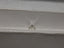 0.52 CT Natural RB H-I SI2