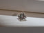 1.06 CT Princess Cut Natural Diamond J VS2