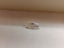 0.45 CT Natural Marquise Cut JK VS