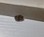 1.51 CT Natural Oval Brilliant Brown I1-I2 Lively Imperfect