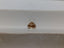 1.21 CT GIA Old Mine Brilliant Natural Diamond Fancy Dark Yellowish Brown SI1