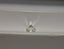 GIA 1.01 CT Natural Round Brilliant J SI1