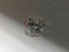 2.03 CT Round Brilliant Natural Diamond I I2-I3
